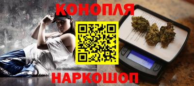 крисы Малгобек